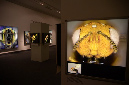 Wasp_exhibition__DSC3490